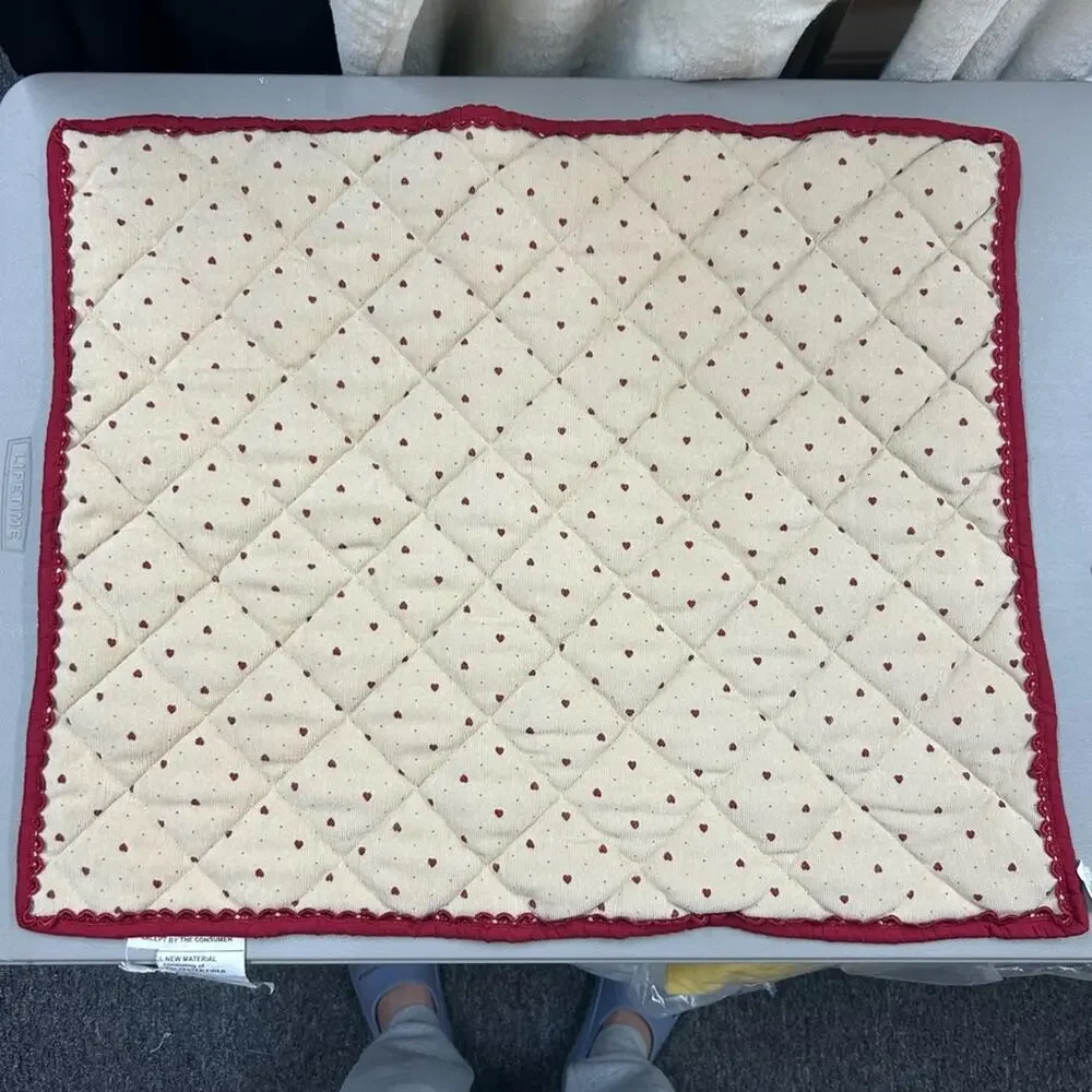 Pottery Barn Sham Cream Red Hearts Lace Trim Pillow Cover Standard NEW